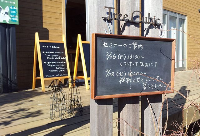 ブラックボード